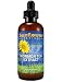 Mormon Tea Extract (Brigham Tea, Ephedra Tea), All Natural, 2 Ounces, Dropper-Top Glass Bottle