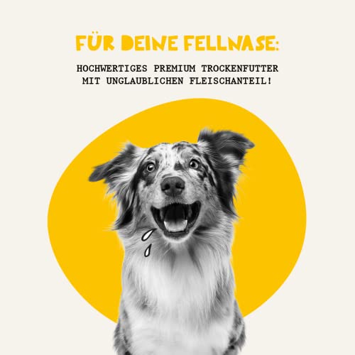 Dogs’n Tiger Adult Premium Hunde Futter, Fischers Fritz, Trockenfutter für Hunde mit 70% Fleischanteil – ohne Zucker & Getreide, Lachs und Hering mit Gemüse, 2kg