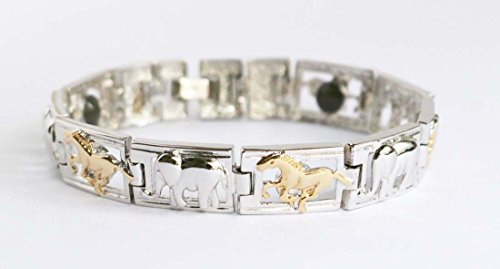 SV925 ܁injEiہjuXbg (L)