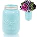 Sparrow Decor Mason Jar Vase (Blue)