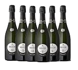 BERLUCCHI '61 EXTRA BRUT FRANCIACORTA [ 6 Bottiglie x 750mℓ ]
