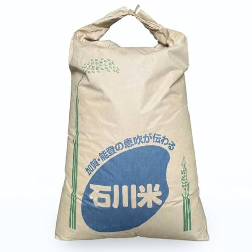 米 令和7年産 コシヒカリ 玄米 30kg こしひかり 30キロ お米 国産 嵐農産 産地直送 石川県 小松市