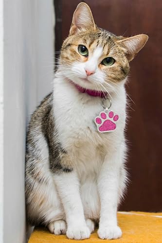 io tags Pet ID Tags, Personalized Dog Tags and Cat Tags, Custom Engraved, Easy to Read, Cute Glitter Paw Pet Tag (Glitter Blue)