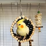 Options de suspension polyvalentes : la balançoire est équipée de chaînes métalliques qui vous permettent de l'accrocher à différents endroits. Que vous souhaitiez l'attacher à l'intérieur de la cage à oiseaux, sur une branche robuste ou dans tout autre endroit approprié, les options de suspension flexibles offrent commodité et polyvalence.