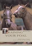 horse training videos for sale  Training Your Foal: Schooling and Training Young Horses