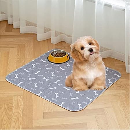 Amazon ペット用 おしっこマット 犬用 ペット マット 消臭 防水 トイレシート 重構造 防水 速乾 消臭 おしっこパッド 漏れ防止 ペットシーツ エコ 制菌 超吸収 介護 小型 中型 猫 犬用 丸ごと洗える 繰り返し 使用可能 M 70 80 Unbrand Name Amazon ペット用 おしっこマット 犬用 ペット マット 消臭 防水 トイレシート 重構造 防水 速乾 消臭 おしっこパッド 漏れ防止 ペットシーツ エコ 制菌 超吸収 介護 小型 中型 猫 犬用 丸ごと洗える 繰り返し 使用可能 M 70 80 Unbrand Name