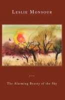 The Alarming Beauty of the Sky 1597090069 Book Cover