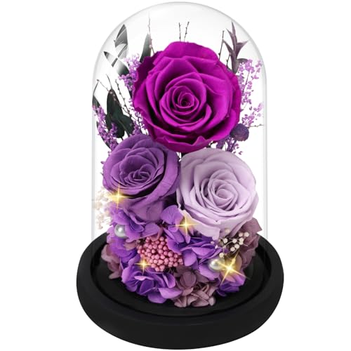 Rosa eterna morada en cúpula de cristal, el regalo de cumpleaños ideal para mamá