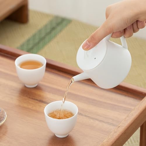 Tetera para juego de té de Kung Fu en cerámica con filtro para el hogar 8