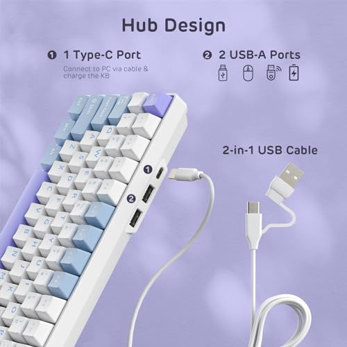 Image of RK ROYAL KLUDGE RK96 RGB Limited Ed, 90% 96 Keys Wireless 3-Mode BT5.0 /2.4G /USB-C Hot Swappable Mechanical Keyboard w /Wrist Rest, Volume Control, Software, Massive Battery, RK Pale Green Switch