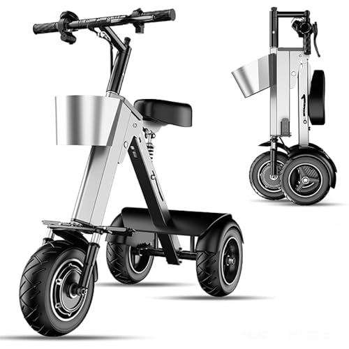 WILLJERDY 3 Wheel Electric Trike