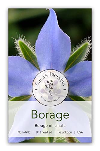 Gaea's Blessing Seeds - Borage Seeds (2.0g) - Non-GMO Seeds with Easy to Follow Planting Instructions - Open-Pollinated Heirloom Untreated Seeds -93% Germination Rate