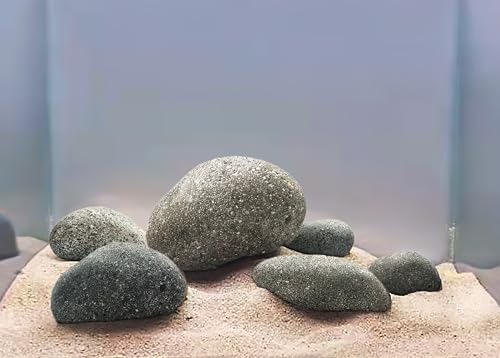 LANDEN-TAIJI-Stone-Natural-Rocks18lbs-29-inches6pcs-for-Aquascape-and-Bonsai-Aquarium-Paludarium-Fish-Tank-Decoration-Rocks-Landscaping-Model-Stone