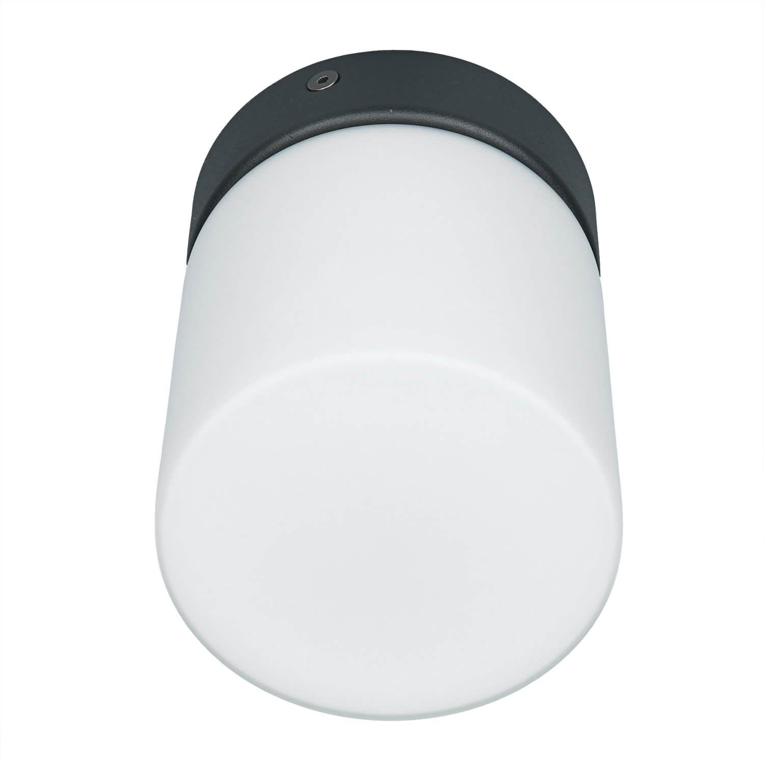 Licht-Erlebnisse Deckenleuchte Bad IP44 kompakt D:10cm G9 wechselbar aus Metall & Glas in schwarz-weiß wassergeschützt Badezimmer Deckenlampe Innen Feuchtraum