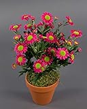 Seidenblumen Roß