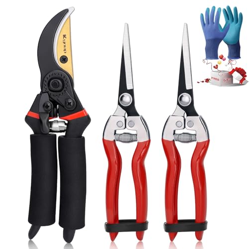 Image of Kynup Garden Secateurs, 3-Piece Garden Shears Set, Professional Heavy Duty Secateurs, Pruning Shears for Plants, Flowers, Bonsai & Hedges, Gardening Tools Gifts for Women Men