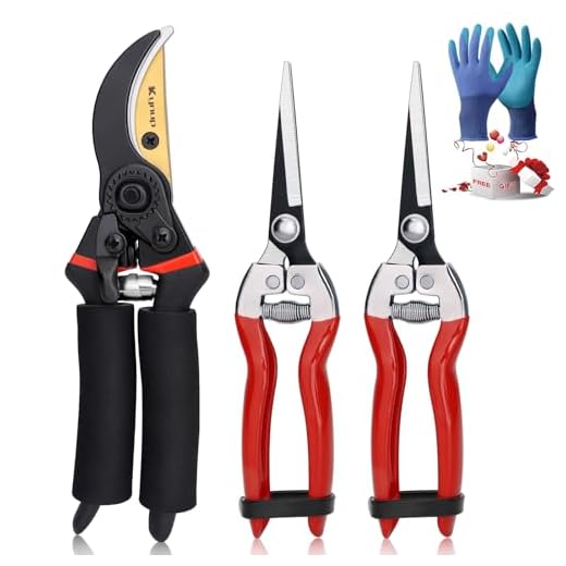 Gartenscheren Set für präzises Schneiden