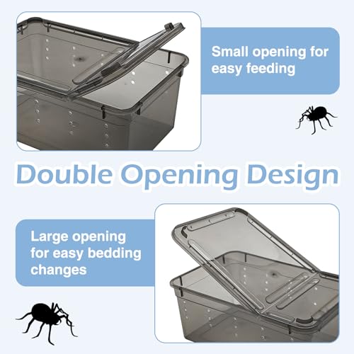 VCEPJH 6 peças de gabinete de aranha saltadora, 19 x 12 x 7,5 cm, gaiola de insetos, tarântula, aran