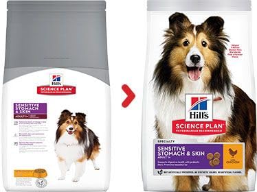 Hill's Science Plan Adult 1+ Sensitive Stomach & Skin Medium Dog Food Chicken x 2.5KG