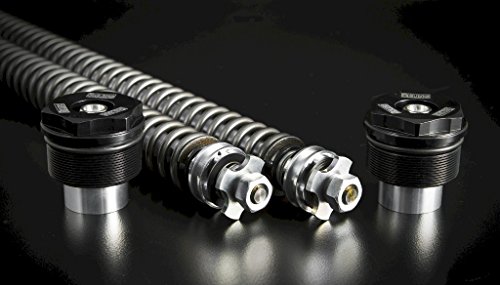 How to adjust fastace forks