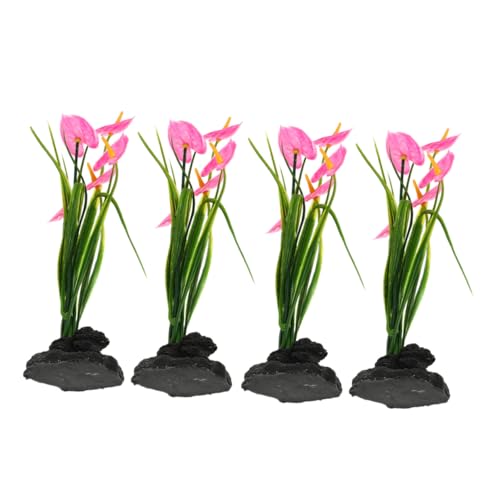 ROMISBABA 4 hgiMpAԑ yʌgщ\ȐH  zea؃v[gpOXt[I[ig