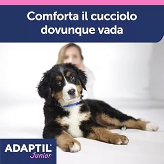 ADAPTIL JUNIOR COLLARE