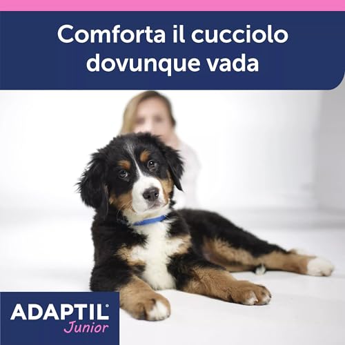 ADAPTIL Junior Beruhigendes Halsband für Welpen, beruhigende Pheromone, Stressabbau für ängstliche Welpen, Entspannung für Lernwelpen und stressige Momente