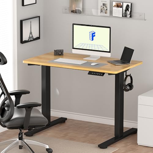 FLEXISPOT EN1 48x24 One-Inch Thick Desktop