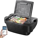 BODEGACOOLER 35L Built-In Car Refrigerator for Tesla Model Y- Ultra-Quiet Fast Cooling to -4℉, Smart App Control, Space-Saving Design for Camping & Road Trips 12/24V DC/AC,-4℉-68℉