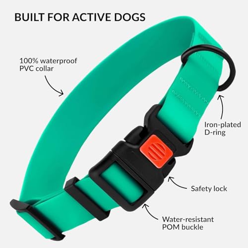 Miniatura 2 de Collardirect Collar Perro Ajustable Impermeable Con Hebilla Fácil De Abrochar - Collar Perros De Nailon Resistente Para Perros Pequeños Medianos Grandes Y Cachorros Neck Fit 18 -26 , Mint Green