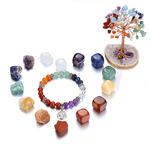 CrystalTears Healing Crystals Set, 16pcs Chakra Crystals Healing Stone Kit Include 7 Raw & Tumbled Chakra Stones, Chakra Bracelet, Chakra Crystal Tree for Meditation Reiki Healing Christmas Gift