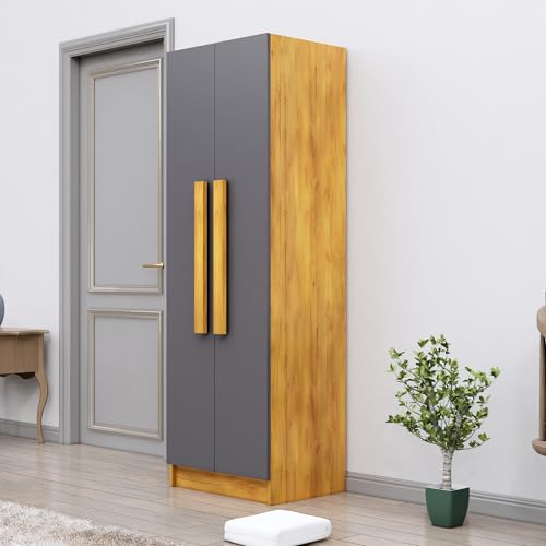 Image of Bniture Wooden Almirah for Clothes, Door for Bedroom, 2 Door Wardrobe with 4 Shelves Huge Storage Space (46D x 60W x 182H CM) | 3 Year Warranty (Giant Wood & Slate Grey)