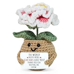 Peony Flower - Teacher