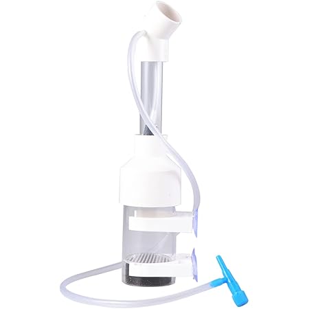 Amazon Bishoku ブラインシュリンプ エッグ 孵化器 Proミニ コンパクト Bishoku エアポンプ用アクセサリー 通販 Amazon Bishoku ブラインシュリンプ エッグ 孵化器 Proミニ コンパクト Bishoku エアポンプ用アクセサリー 通販