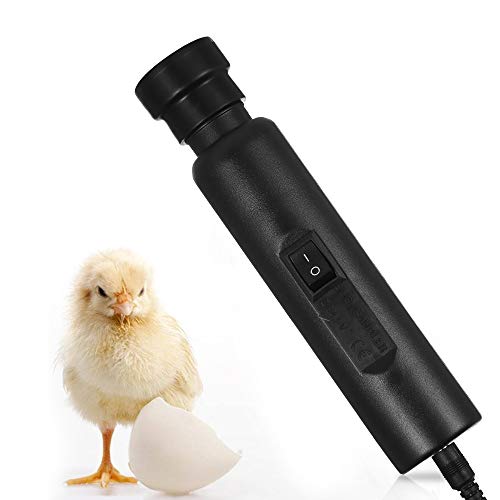 Brilhante Cool LED Luz Oval Candler Tester Incubadora De Armazenamento Exclusivo De Energia Apenas p