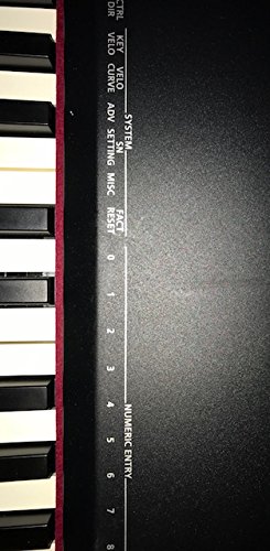 Amazon | Roland ローランド MIDI キーボード コントローラー A-88 88