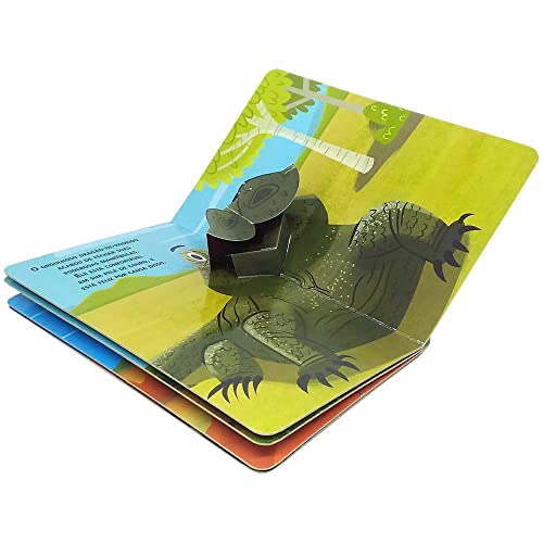 Olhinhos Espertos! Um livro pop-up: Répteis ao ar livre