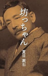 坊っちゃん (全漢字ふりがな付き)