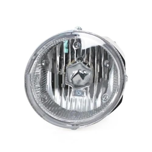 Feux anti-brouillard pour Paladin D22 2004-2015 côté gauche avec cadre de phare de remplacement