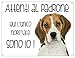 CARTELLO CANE - BEAGLE Attenti al padrone qui l'unico normale sono io - Con Adesivo in Vinile e Pannello in Forex (Adesivo)