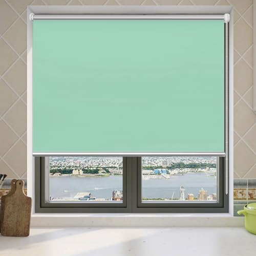 Verdunkelungsrollo Ohne Bohren 100 x 70 cm Hitzeschutz und Sichtschutz Rollade Rollo Jalousie Höhe Stufenlos Verstellbar für Schlafzimmer, Zart Grün