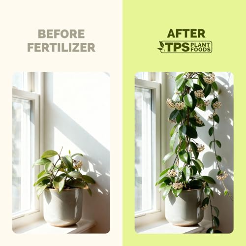 Hoya Fertilizante Líquido para Plantas 8 oz miniatura 3