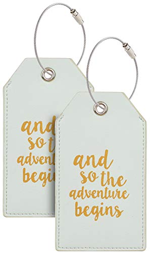 Casmonal Luggage Tags with Full Back Privacy Cover w/Steel Loops (light green 02 pcs set)