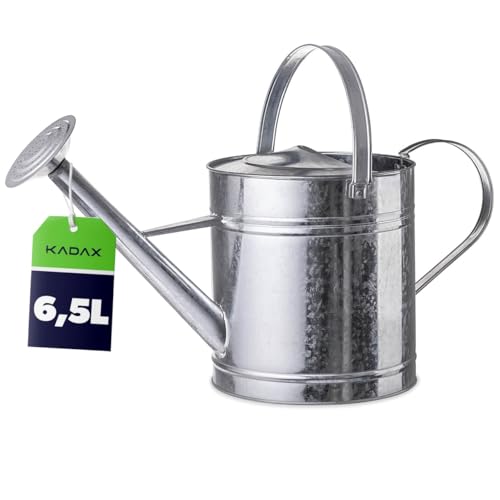 KADAX Zinkgießkanne 6 5L aus verzinktem Stahl Metall Gießkanne mit Abnehmbarer Brause Zink Giesskanne für Garten & Balkon große Blumengießkanne (Silber)