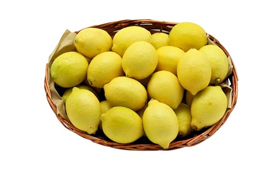 BAMELO® Zitronen Kiste frisch schnell Versand 5 Kg im Vergleich