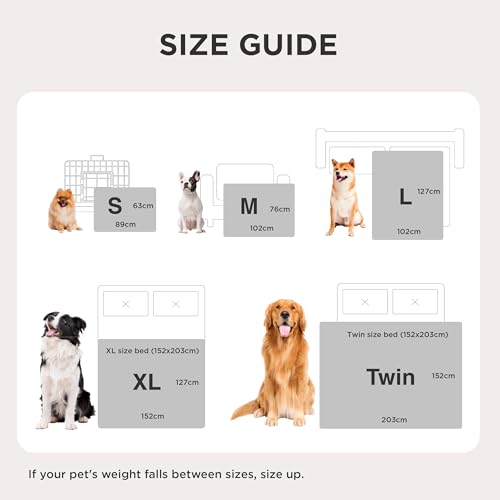 BEDSURE wasserdichte Hundedecke - 76 * 102 cm Hundedecke waschbar für mittelgroße Hunde, Haustier Decke flauschig und weich, Schutzdecke Hundesofa, Decke für Hunde, Grau