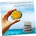 UKCOCO 9pcs Flat Hand-Painted Stones for Crafts Painting Garden Decor and Boys and Girls Art Projects Unique Rocks for All Skill Levels Natural Look for Use