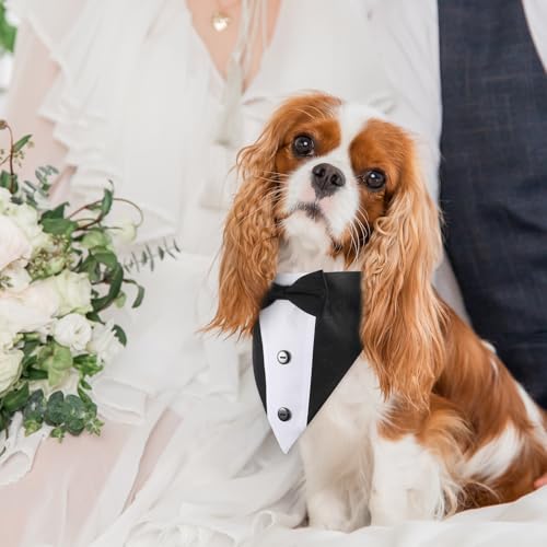 Hund Smoking Bandana Halsband Hochzeit Fliege für Hunde Fliege Verstellbar für Krawatte Haustiere Formelle Halsketten Hund Welpe Kätzchen Hochzeit Geburtstag Schwarz Weiss