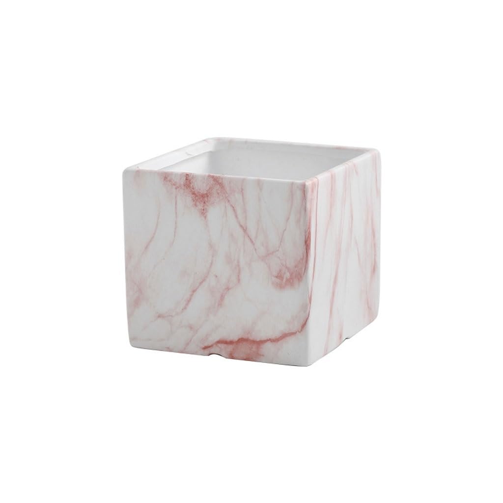 Pot pour plantes d'intérieur style minimaliste pour salon moderne