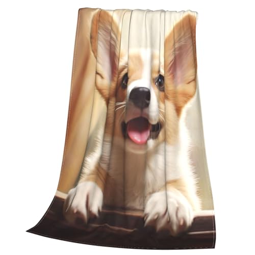 Couverture micro polaire corgi pour soirées cocooning canapé